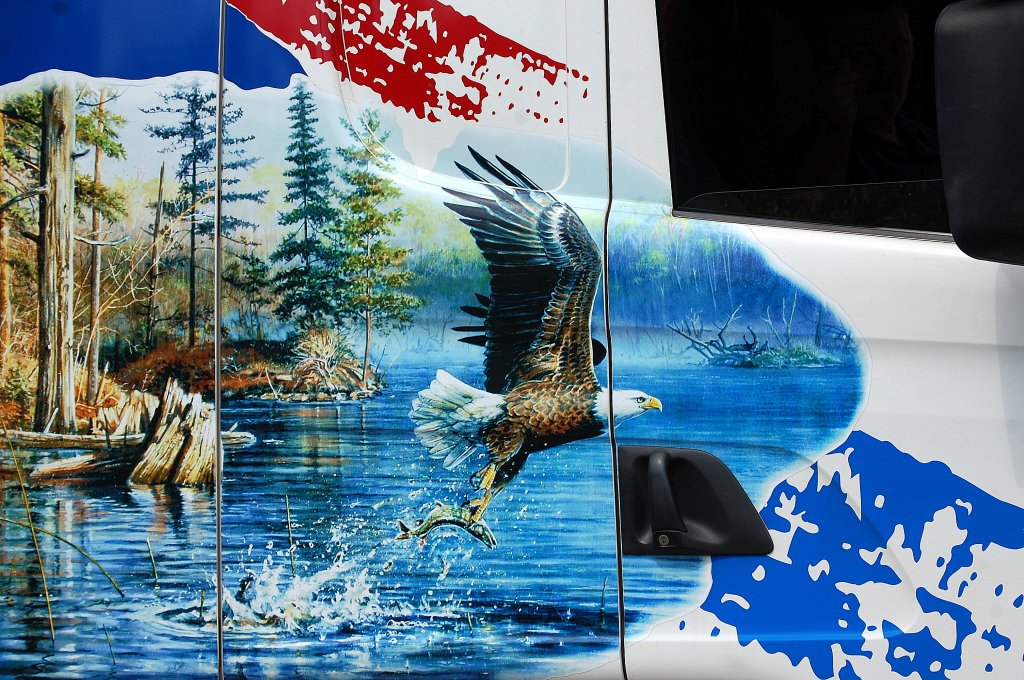 Das malerische Motiv auf der Seitent�r des SCANIA R500 der Fa. ROLAND HELM wirkt sehr US-amerikanisch, ein Seeadler beim Fischfang, ein sch�nes Motiv auf wei�em Untergrund, 06.08.13 Berlin-Pankow.