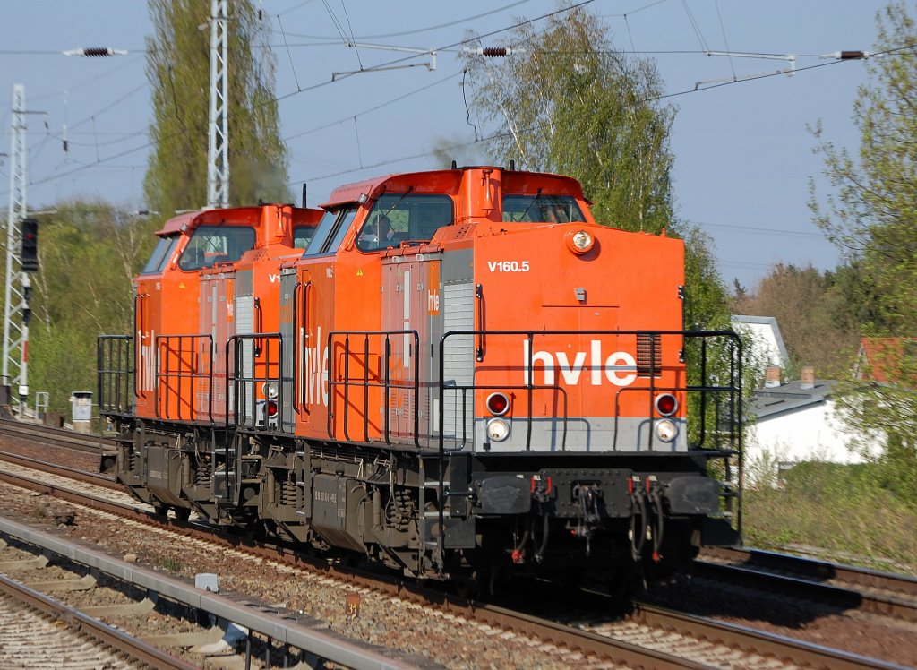 Doppeltraktion hvle V 100�r mit hvle V160.5 (92 80 1203 143-3 D-HVLE, LEW Bj.1975) + V160.7 (92 80 1203 150-8 D-HVLE, LEW Bj.1971) am 15.04.09 Berlin-Karow.