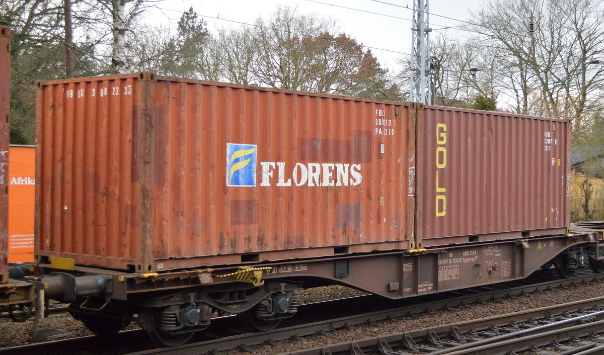 20’ Standard Container der Florens Asset Management Company Limited aus Hong Kong und der Fa. GOLD CONTAINER, die operiert seit 1983, unterstützt durch eine starke finanzielle Unterstützung der französischen TOUAX-Gruppe am 20.01.18 Berlin-Hirschgarten. 