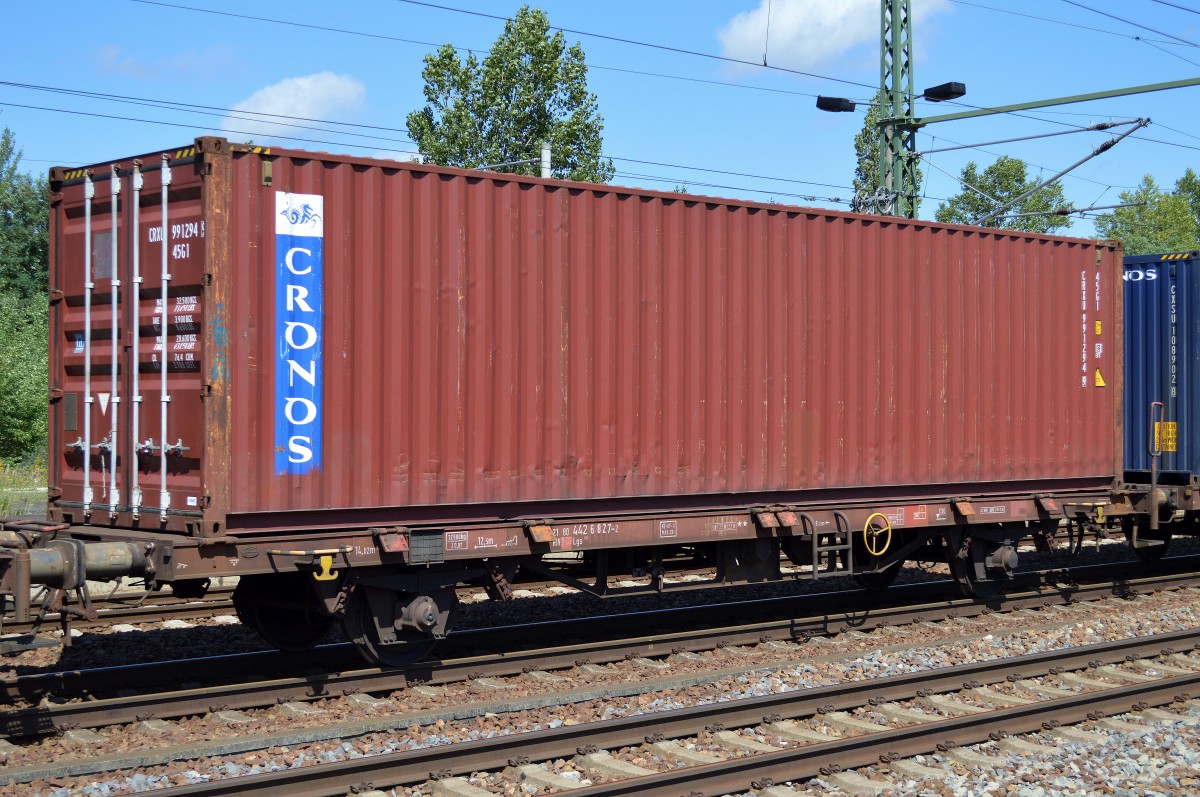 Auch diese rotbraunen Container geh�ren zur US-amerikanischen CRONOS Group, 12.08.14 Bhf. Flughafen Berlin-Sch�nefeld.