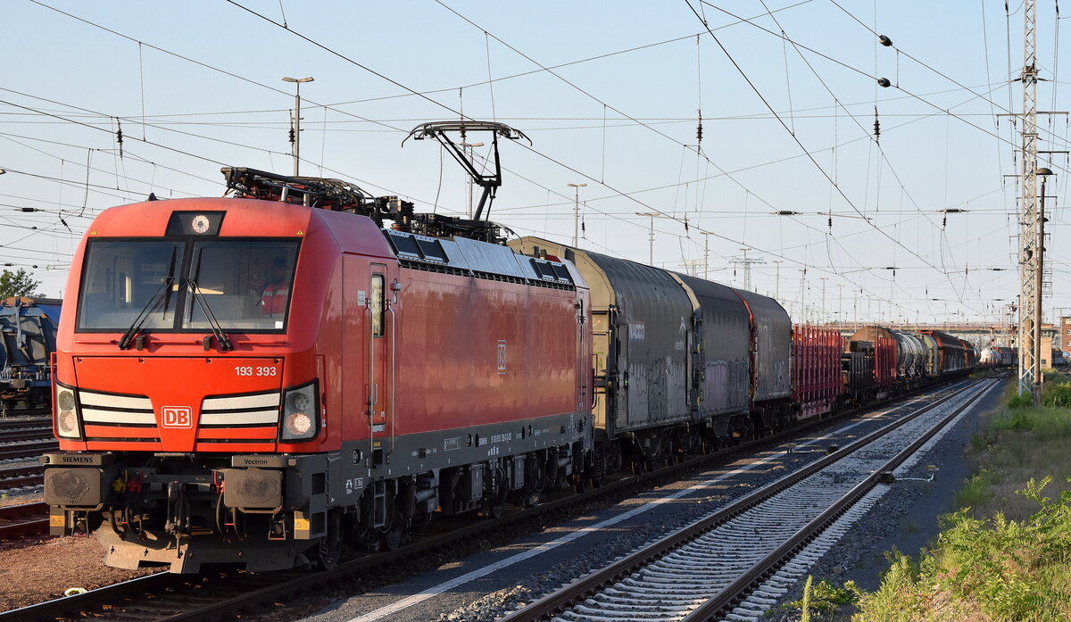 DB Cargo AG, Mainz mit ihrer  193 393  [NVR-Nummer: 91 80 6193 393-6 D-DB] und einem gemischten Güterzug am 19.06.25 Höhe Bahnhof Senftenberg.