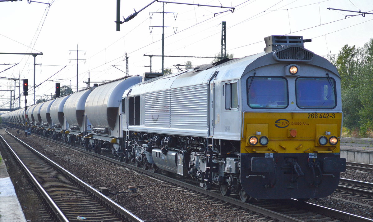MEG mit ECR 266 442-3 und Zementstaubzug (leer) am 14.09.16 Bf. Flughafen Berlin-Schönefeld.