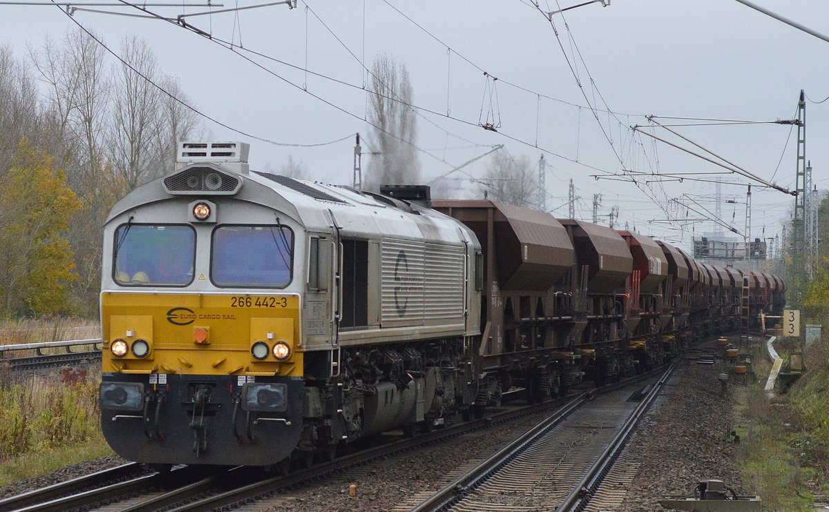 MEG mit der ECR 266 442-3 und einem Ganzzug Schüttgutwagen verlässt gerade die Industrieübergabe Nordost, 13.11.17 Berlin-Hohenschönhausen.
