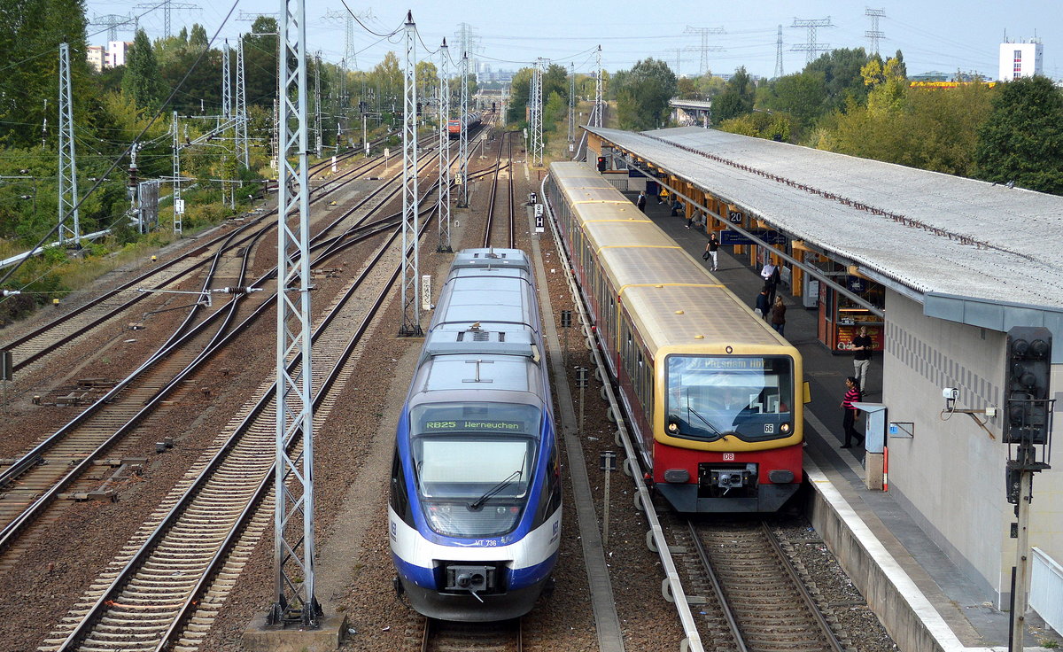 NEB VT 736 als RB25 nach Werneuchen und die Berliner S-Bahn (BR 481) mit der S7 nach Potsdam Hbf., 23.09.16 Nf. Berlin-Springpfuhl.