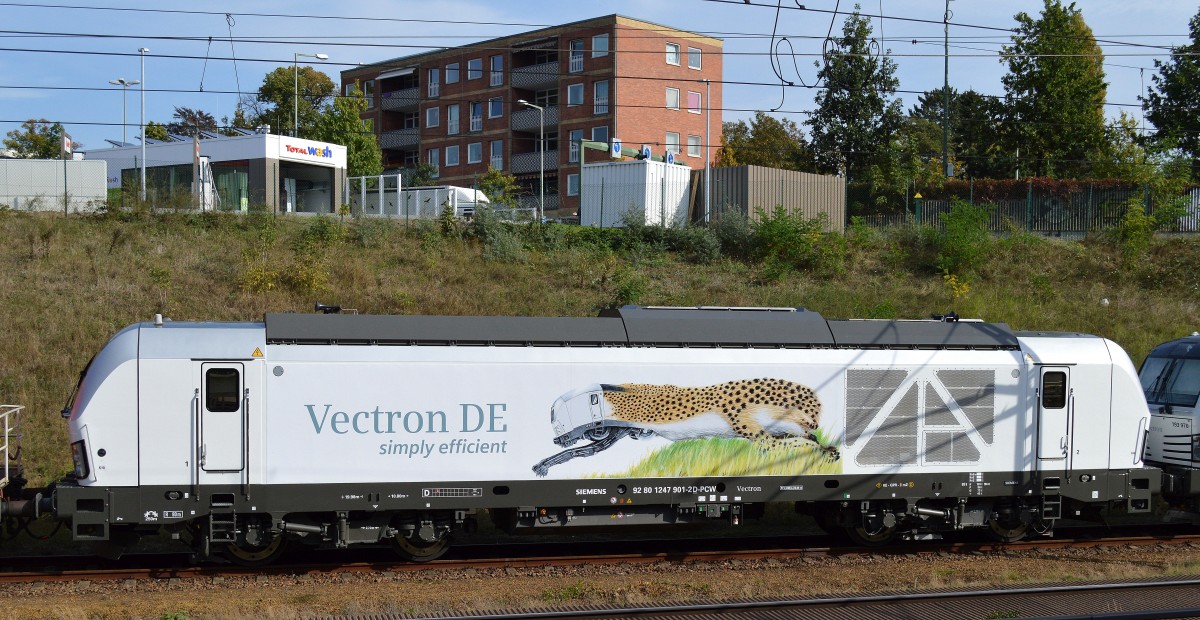 So konnte ich noch mal im schönsten Sonnenschein beim Abtransport von der Inno Trans die schöne Seitenwerbung der nun endlich offiziell (seit 24.09.14) zugelassenen Siemens Diesel Vectron DE (92 80 1247 901-2 D-PCW) noch mal ablichten. Es bleibt anzuwarten ob es nach dieser verspäteten Zulassung doch noch den einen oder anderen Interessenten an dieser modernen neuen Siemens Lok geben wird aber der gute Ruf von Siemens wird schon dafür sorgen, 29.09.14 Berlin- S-Bhf. Heerstr. 
Volker Stöckmann

