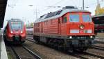 Während RB22 nach Königs Wusterhausen mit 442 130 abfahrbereit im Bhf.