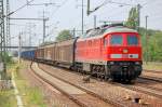 233 547-9 mit einem gemischten G�terzug bei der Durchfahrt Bhf.