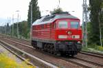 233 288-0 am 09.08.12 Berlin-Karow.