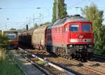 233 652-7 mit einem Ganzzug Schiebewandwagen, 22.06.10 Berlin-Karow.