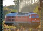 Echte Herbststimmung im Sp�tsommer, 233 515-6 wartet am Haltesignal im Gbf.