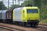 Im Moment f�r die DB im Einsatz die in neuer gelbgr�ner Farbe leuchtende Alpha Train Leasinglok 145-Cl 031 (91 80 6145 931-2 D-ATLD, Bj.
