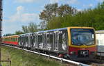 Der neueste Werbe-Viertelzug der Berliner S-Bahn, der Zug 481 427-3 mit der gelungenen Werbefolie für ADAGIO CLUB/ENTERTAINMENT auf der Linie S75 am 03.05.16 Einfahrt Bf.