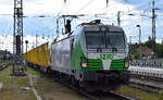 SETG - Salzburger Eisenbahn TransportLogistik GmbH, Salzburg [A] mit der geleasten ELL Vectron  193 219  [NVR-Nummer: 91 80 6193 219-3 D-ELOC] und einem Ganzzug Transwaggon Drehgestell-Rungenwagen