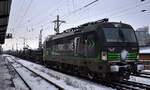 Rail Force One B.V., Rotterdam [NL] mit der geleasten ELL Vectron  193 742  [NVR-Nummer: 91 80 6193 742-4 D-ELOC] und einem Ganzzug Drehgestell-Flachwagen mit Lademulden für Coils der polnischen