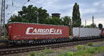 Polnischer Gelenk-Taschenwagen vom Einsteller LTG Cargo Polska Sp. z o.o. mit der Nr. 33 TEN GE 51 PL-LTG 4956 175-5 Sdggmrss in einem Ganzzug am 01.07.26 H�he Bahnhof Frankfurt (Oder).