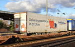 Kühlthermo LKW-Trailer der Fa.