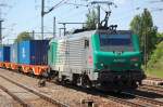 Neben den Loks der SBB Cargo Re 421 + Re 482 ist eine weitere ausl�ndische Lok regelm��ig in Deutschland unterwegs, die von der SNCF aus Frankreich an die ITL geliehenen Loks vom Typ Prima EL3U gebaut