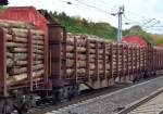 Drehgestell-Flachwagen mit stabilen hohen Rungen vom Typ Sps der Rennsteigbahn zum Transport von Stammholz am 10.10.14 Berlin-Hohenschönhausen.