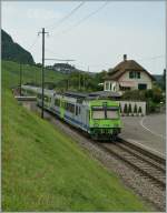 BLS RE nach Zweisimmen in Faulensee.