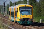 ODEG, Linie OE60 Richtung Bln-Lichtenberg mit VT 650.76  Schorfheidestadt Joachimsthal  (95 80 0650 076-2 D-ODEG, Stadler Bj.2004), 08.07.10 Berlin-Karow.